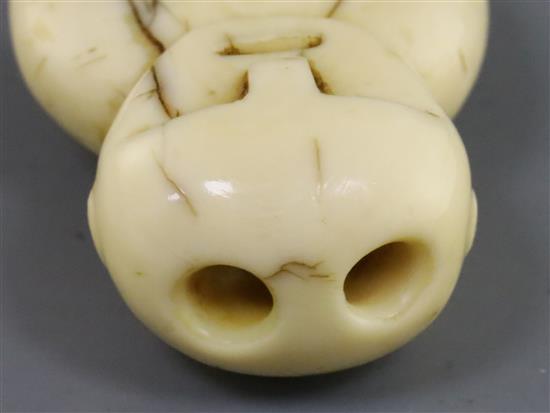A Tongan or Fijian whale tooth pendant, PLEASE NOTE WE ARE UNABLE TO DATE THIS PIECE H. 5.5cm